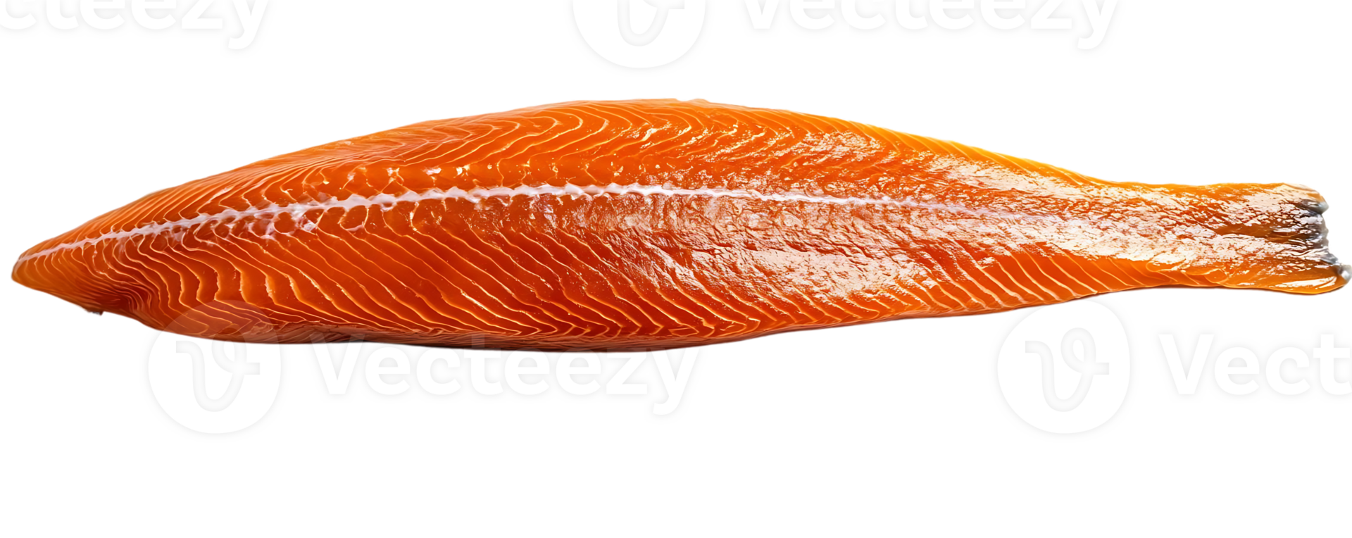 Fresh Salmon Fillet with a Transparent Background, Ideal for Culinary Creations png