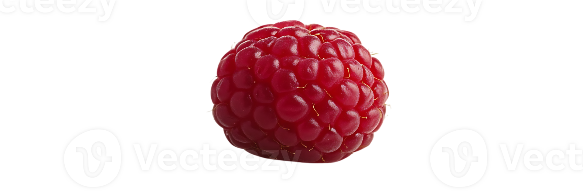 A Single Raspberry Isolated on a Transparent Background, Perfect for Digital Design Projects png