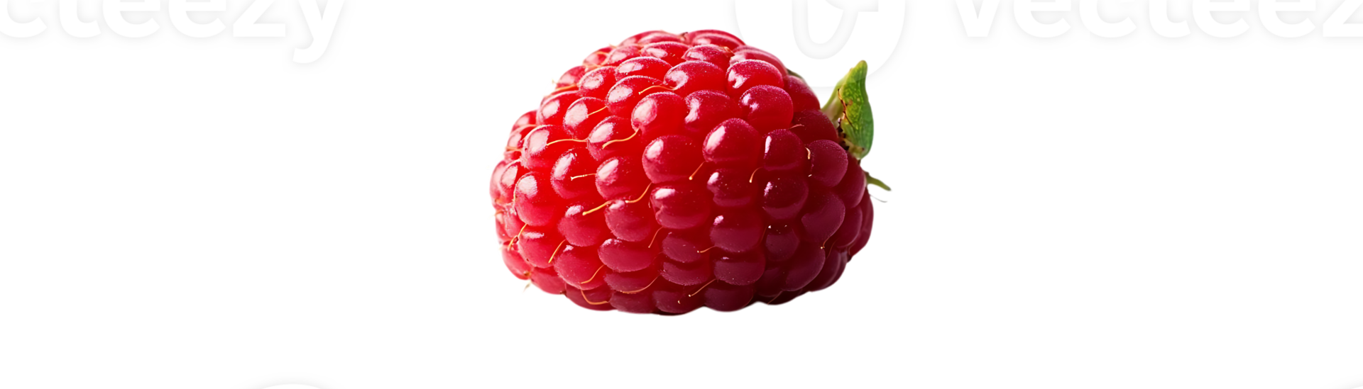 A Single Raspberry with a Transparent Background, Ready to be Used in Designs and Projects png