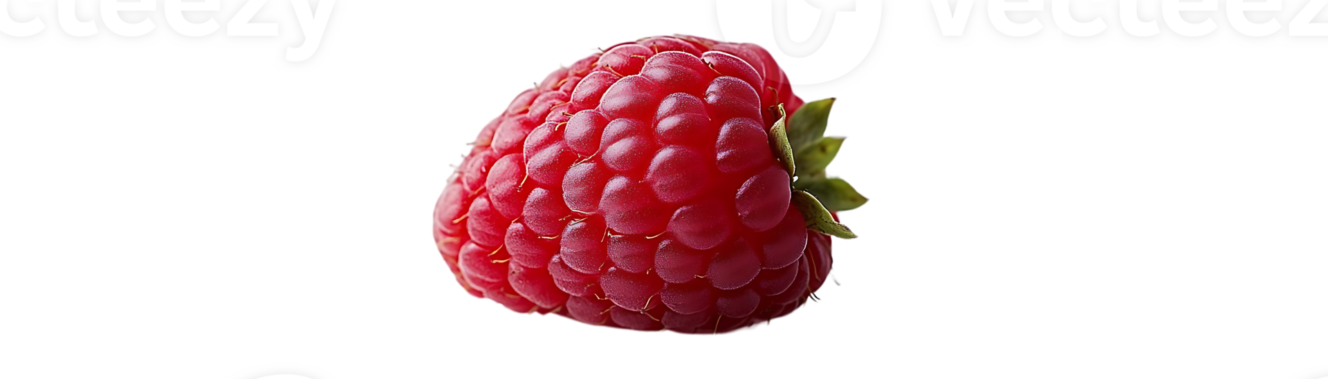 A Single Raspberry Isolated on a Transparent Background, Showing Its Detailed Texture and Vibrant Red Color png