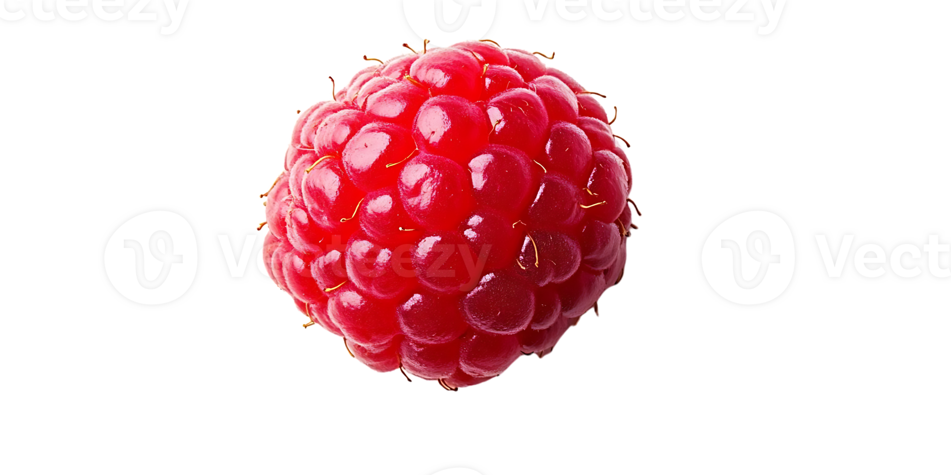 A Single Raspberry with Transparent Background, Perfect for Design