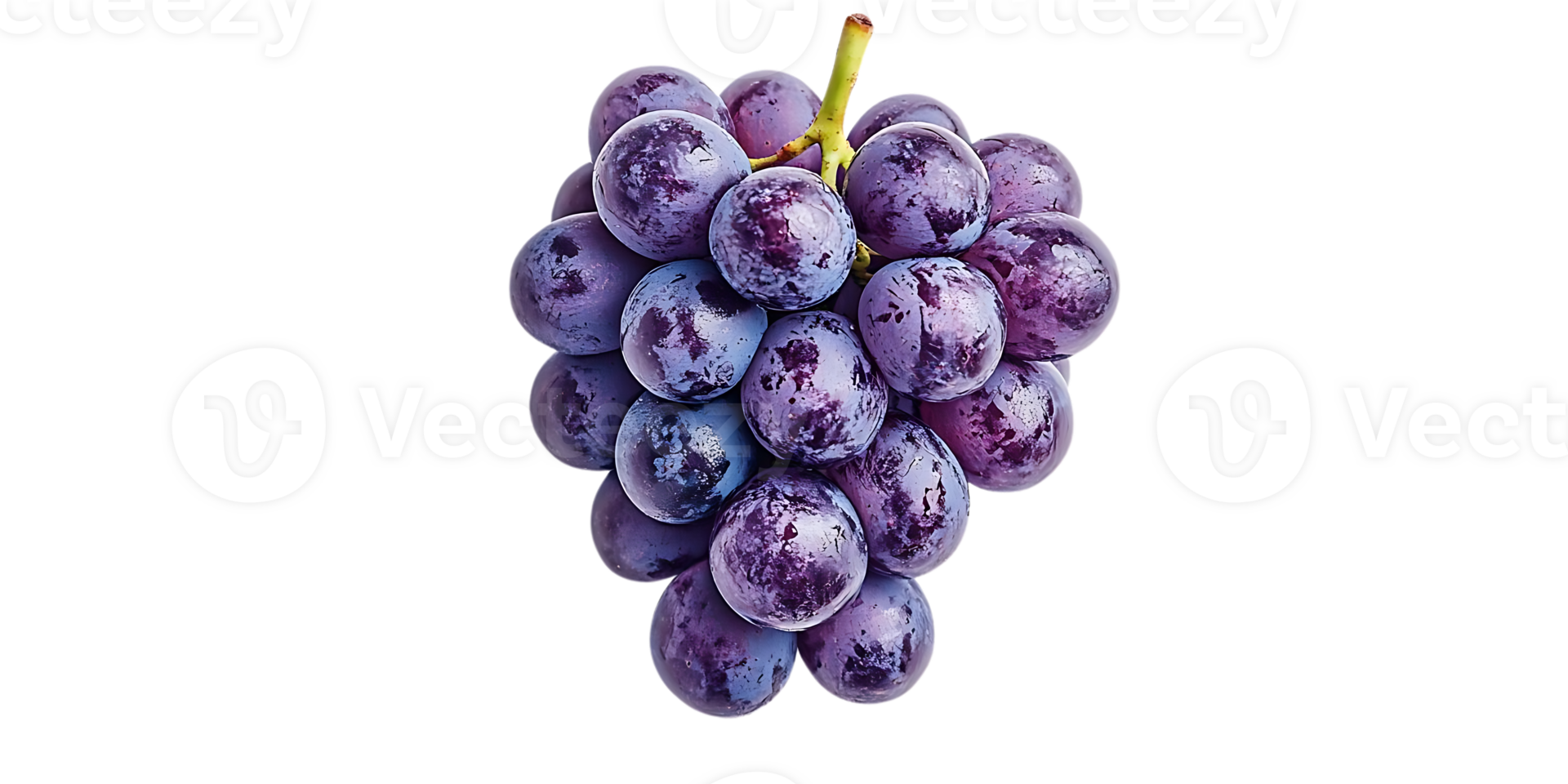 Purple Grapes with a Transparent Background, Fresh Fruit Isolated on Black png