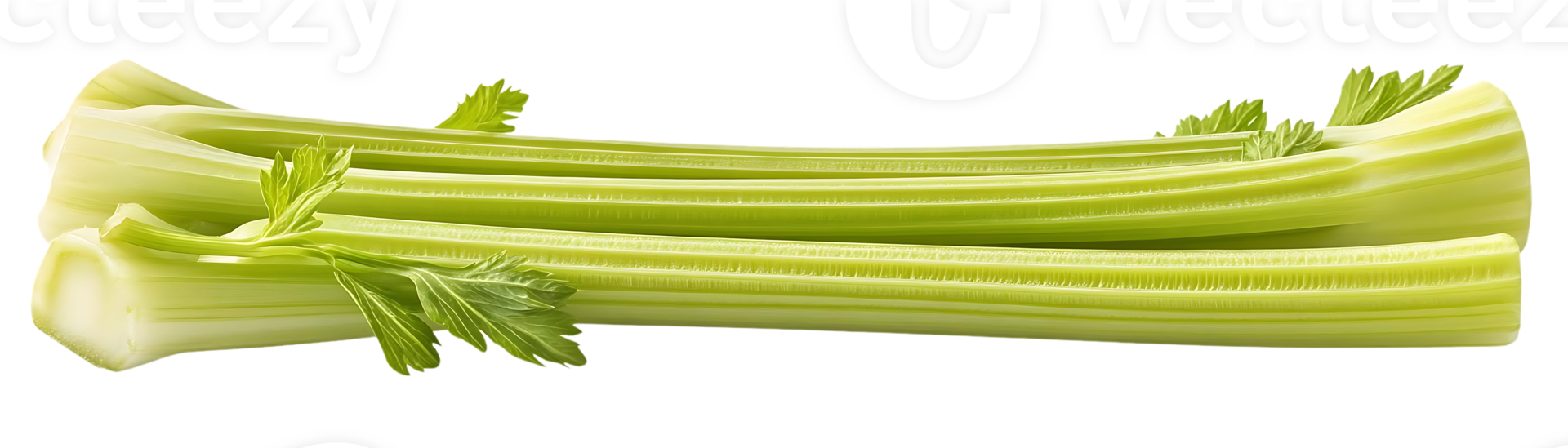 Fresh Celery Stalks with Transparent Background - A Bunch of Green Stalks for a Healthy Snack png