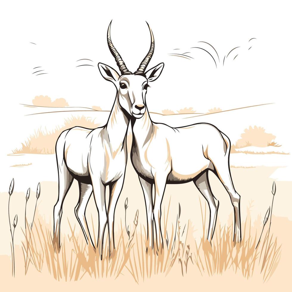 Antelope in the field sketch for your design element illustration vector