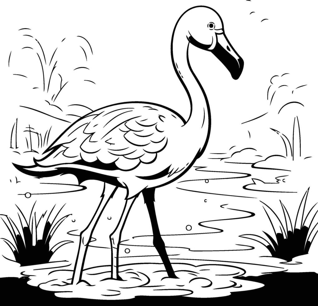 Flamingo in the pond Black and white illustration vector
