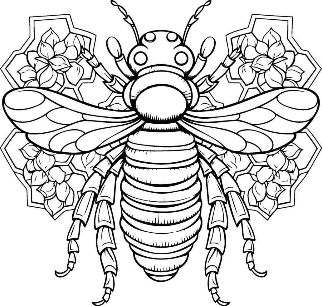 Honey bee Black and white illustration for coloring book vector