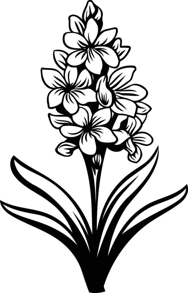 A simple and elegant black and white illustration of a hyacinth flower vector