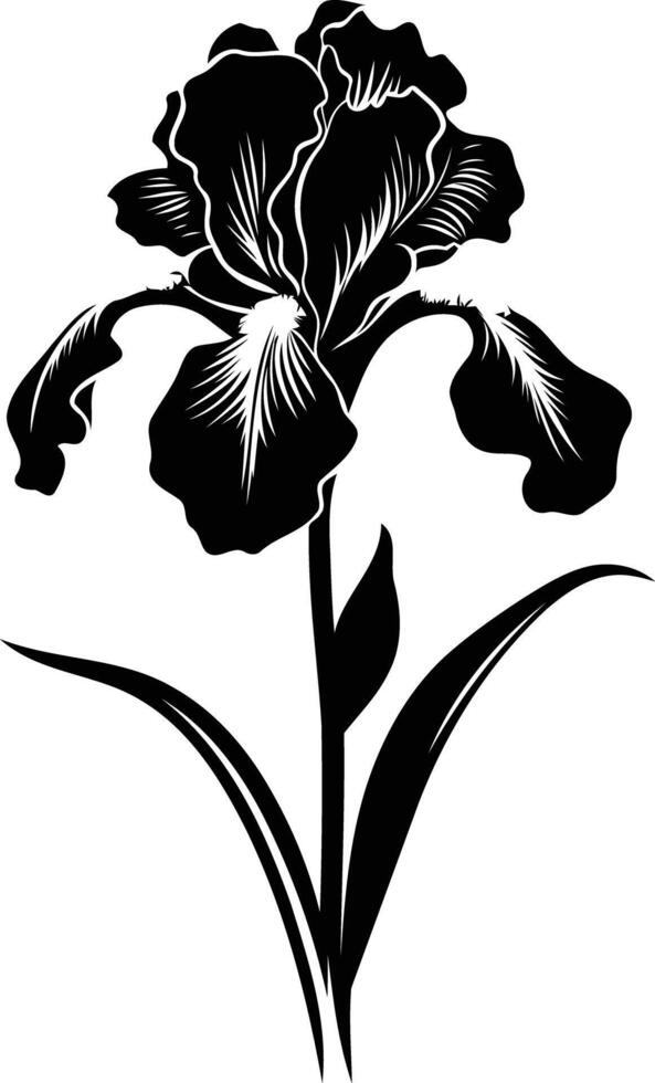 Elegant black and white silhouette of an iris flower vector
