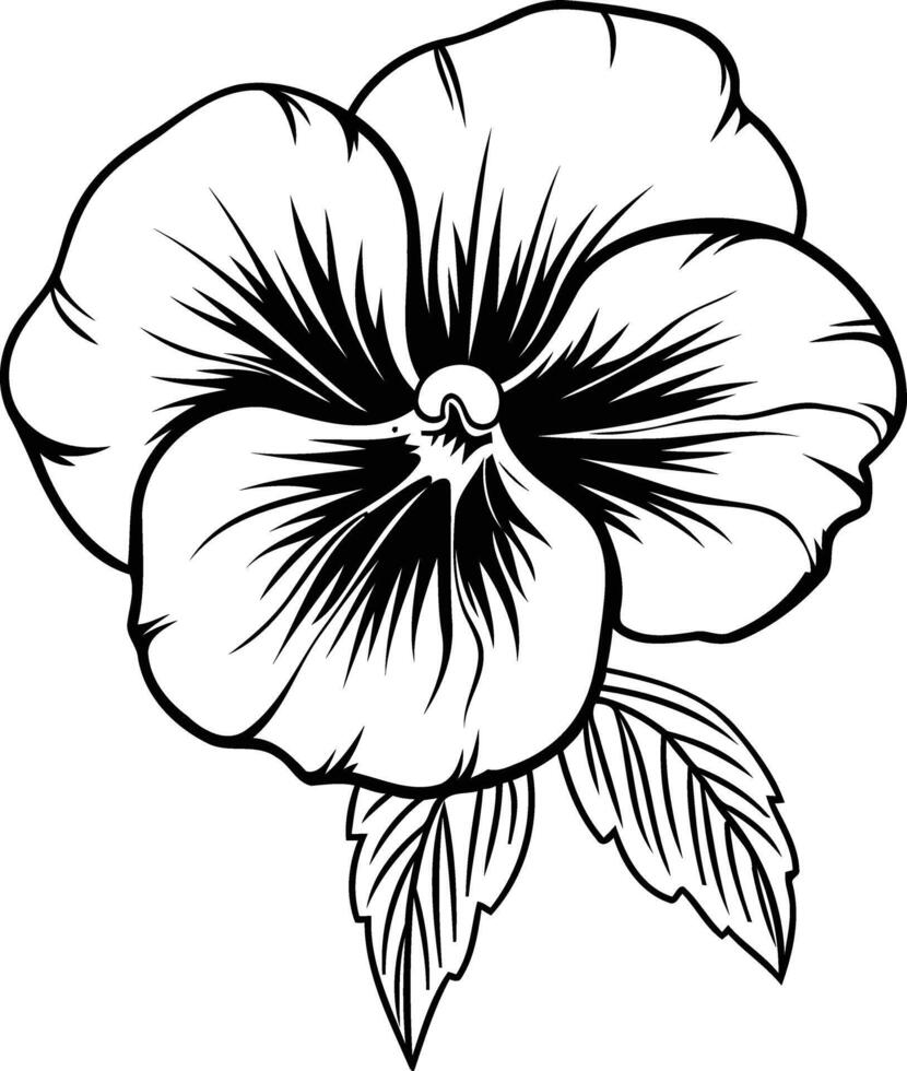 Black and white line art illustration of a single pansy flower vector