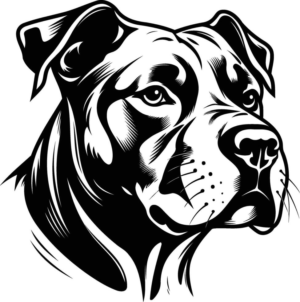 A striking black and white illustration of a pit bull's head, perfect for tattoo designs, posters, and t-shirt prints vector