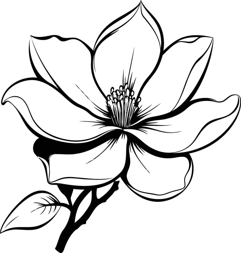 Elegant black and white line art illustration of a single magnolia blossom vector