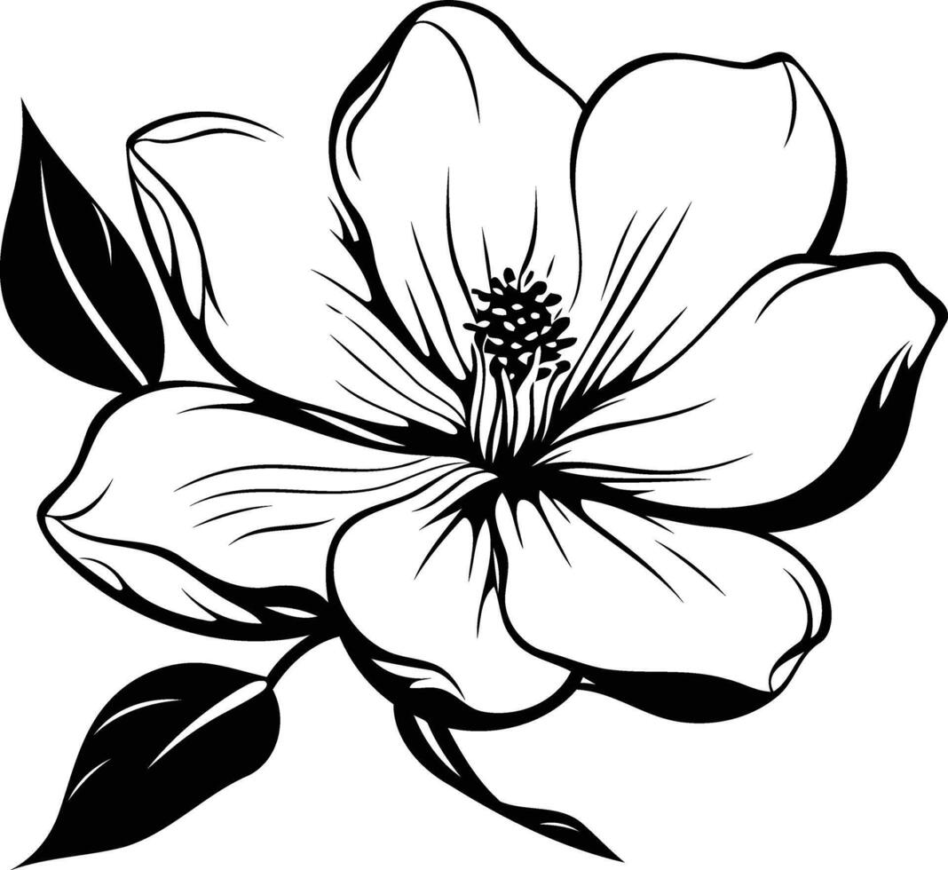 Elegant black and white illustration of a magnolia flower, perfect for design projects, tattoos, or branding vector