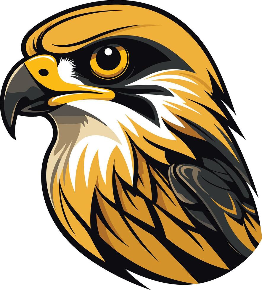 Close-up Illustration of a Hawk Head vector