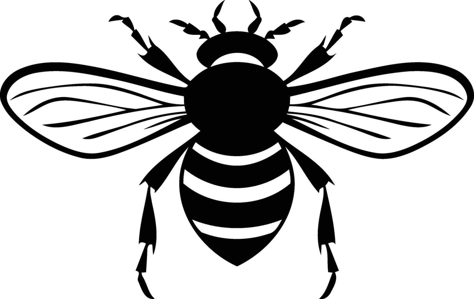 A simple yet striking black and white illustration of a bee with outstretched wings vector