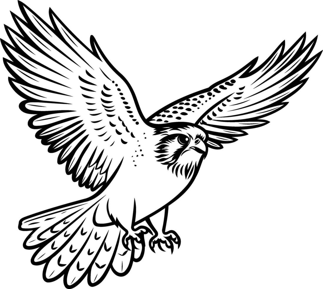 A detailed black and white illustration of a falcon in flight, perfect for tattoo design, logo or branding vector