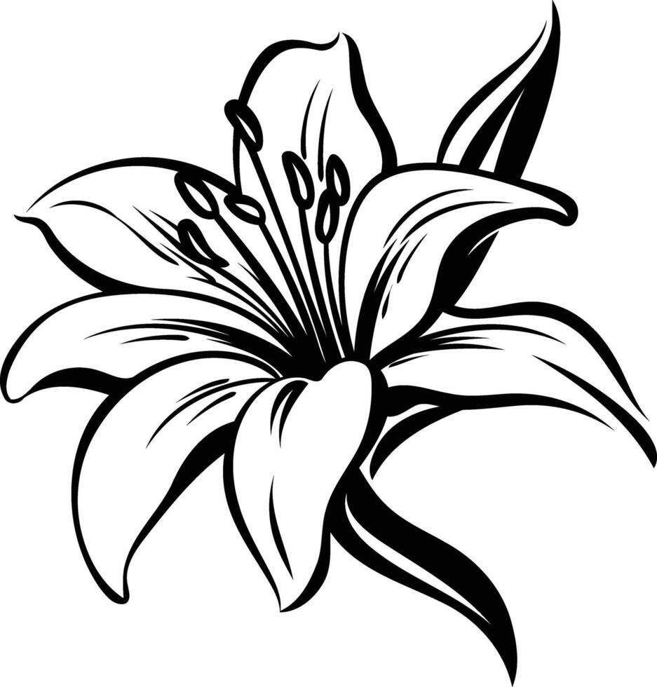 A simple yet elegant black and white illustration of a lily flower vector