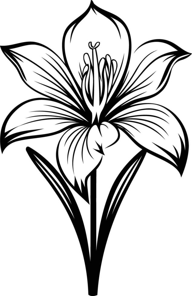 Simple, elegant line art illustration of a single lily flower vector