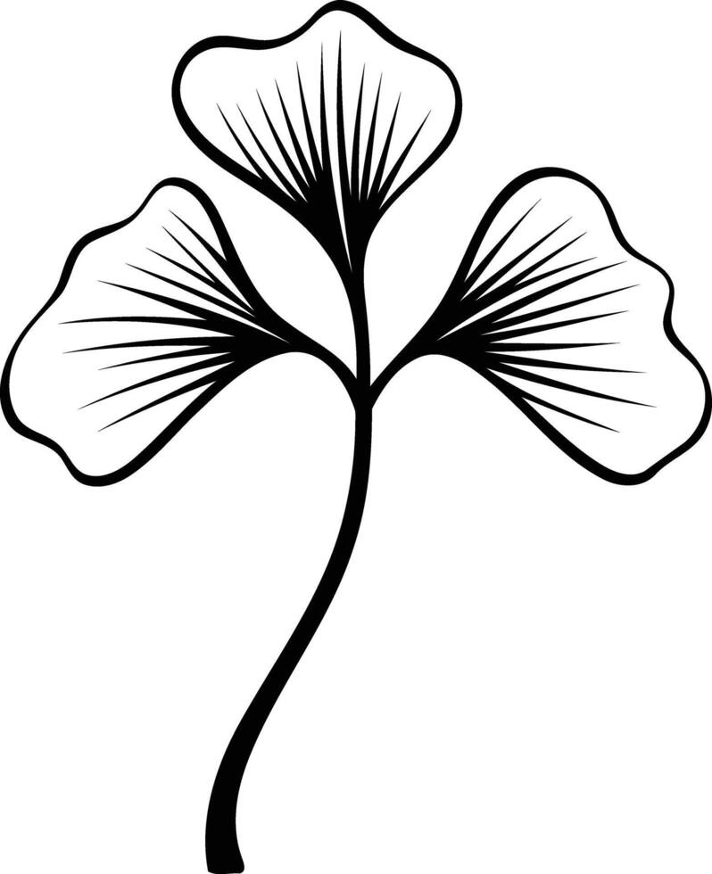 Simple black and white illustration of a stylized ginkgo biloba branch with three leaves vector