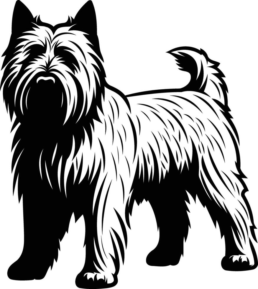 A striking black and white illustration of a cairn terrier, standing tall and proud vector