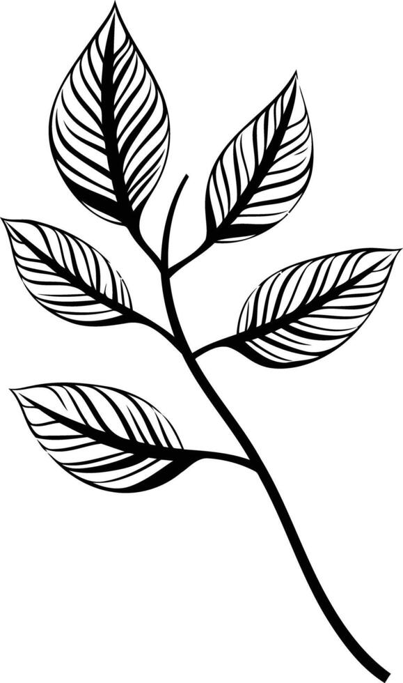 Simple black and white illustration of a delicate branch with five leaves vector