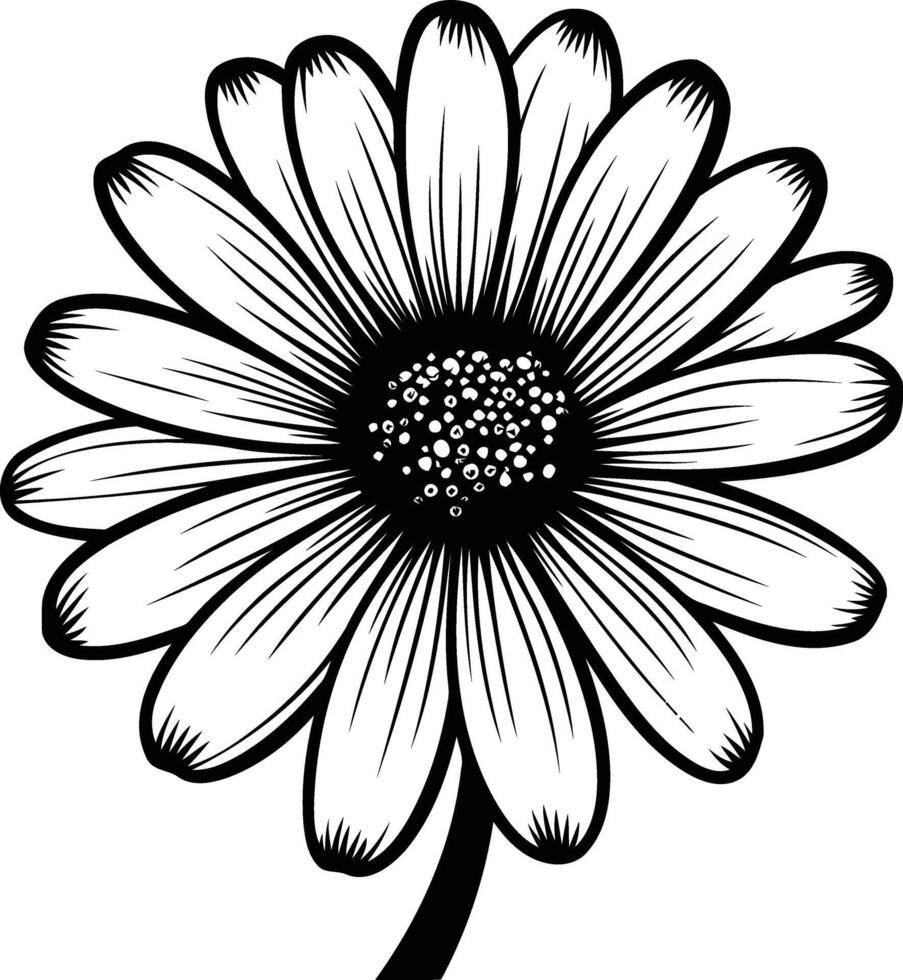Elegant black and white illustration of a daisy flower vector