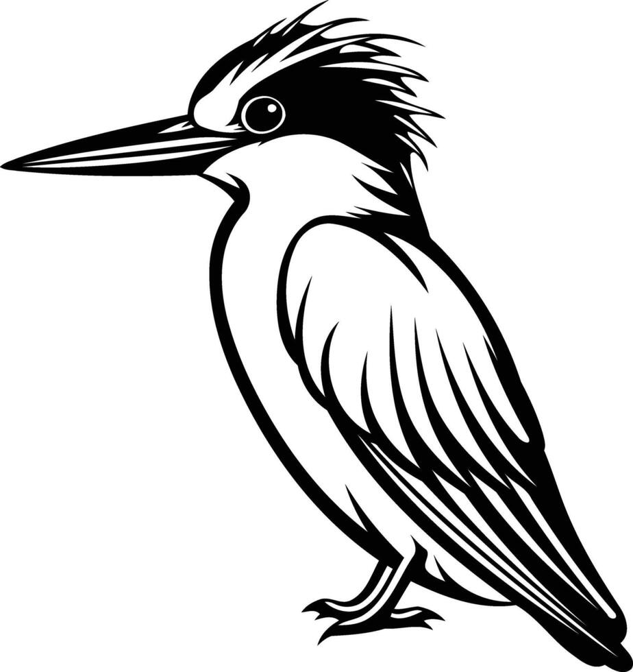 A simple yet striking line art illustration of a kingfisher, perfect for nature themed designs, logos, and branding vector