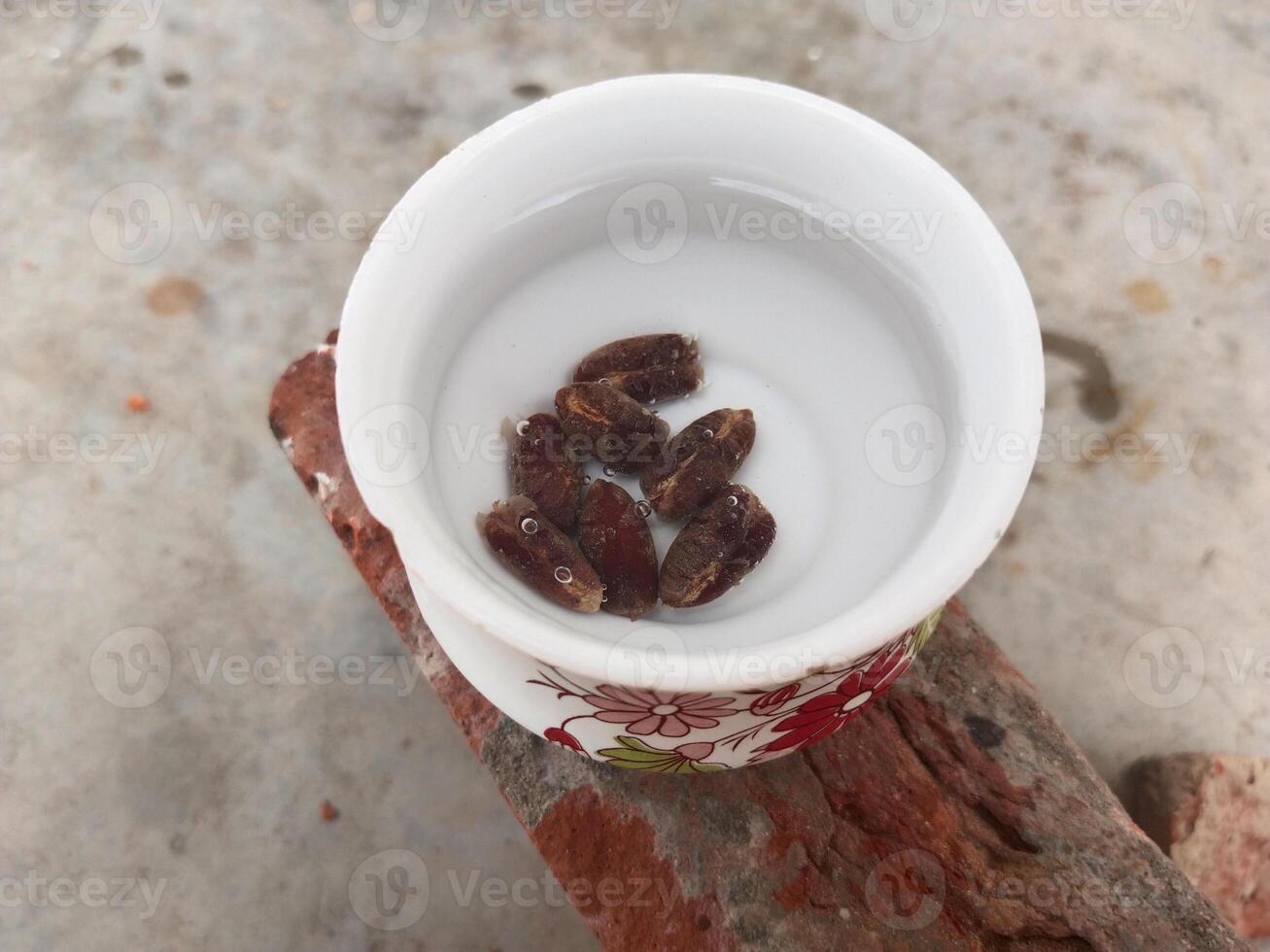 Soaking dates seeds in water before planting. How to plant seeds Concept photo