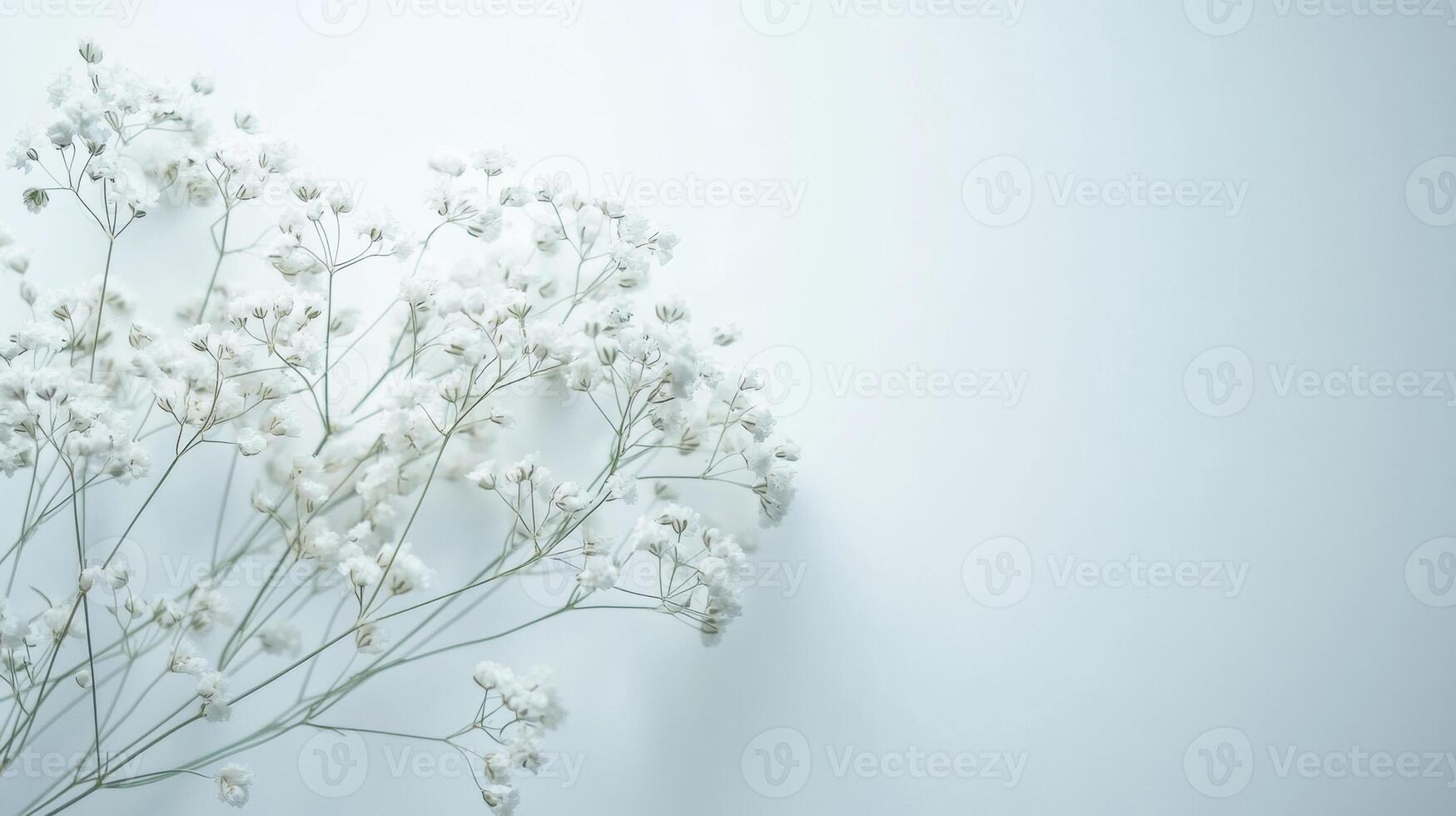 Delicate Baby's Breath - Minimalist and Ethereal Photography photo
