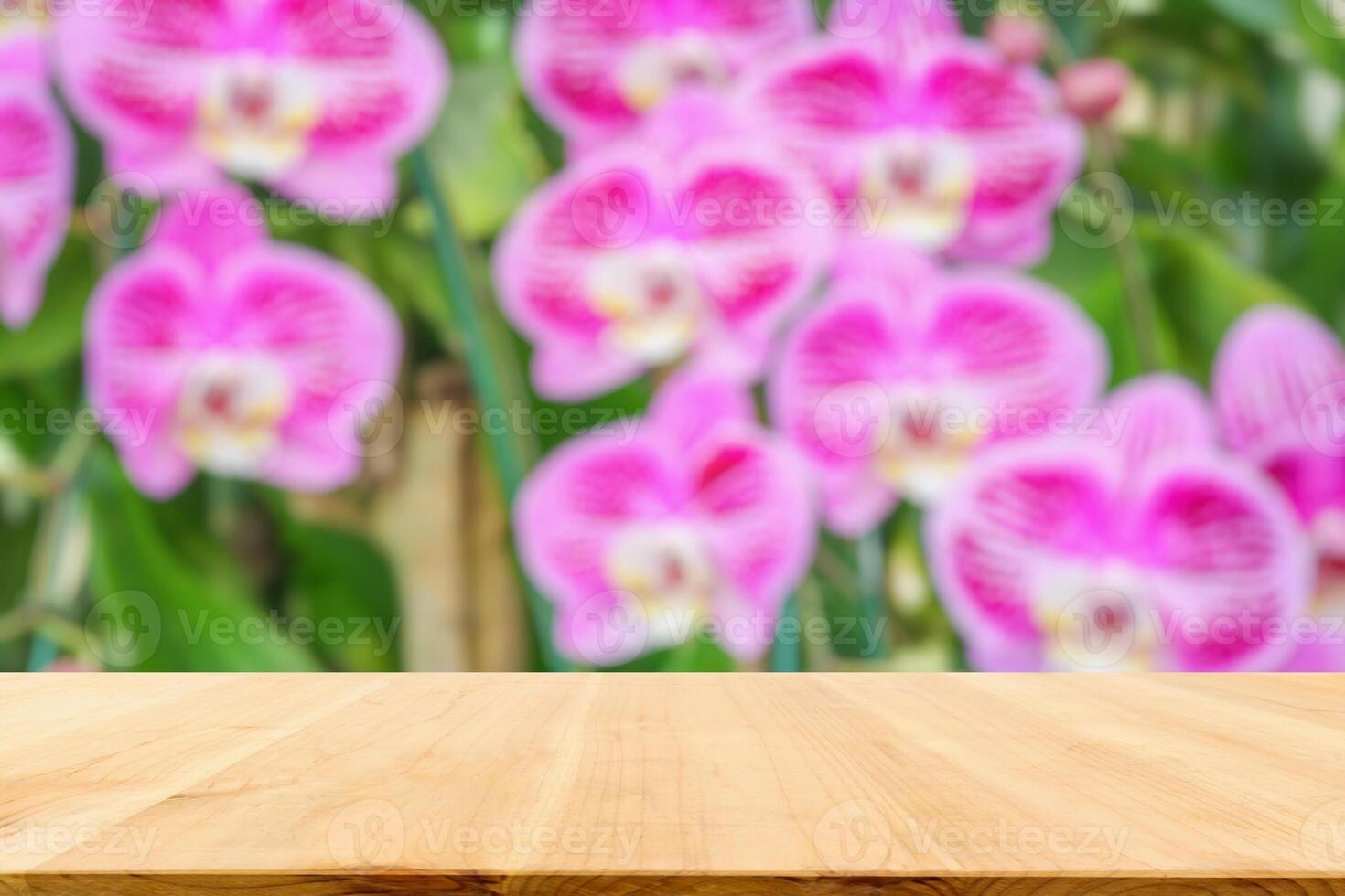 Empty wood table top with blur orchid garden background for product display photo
