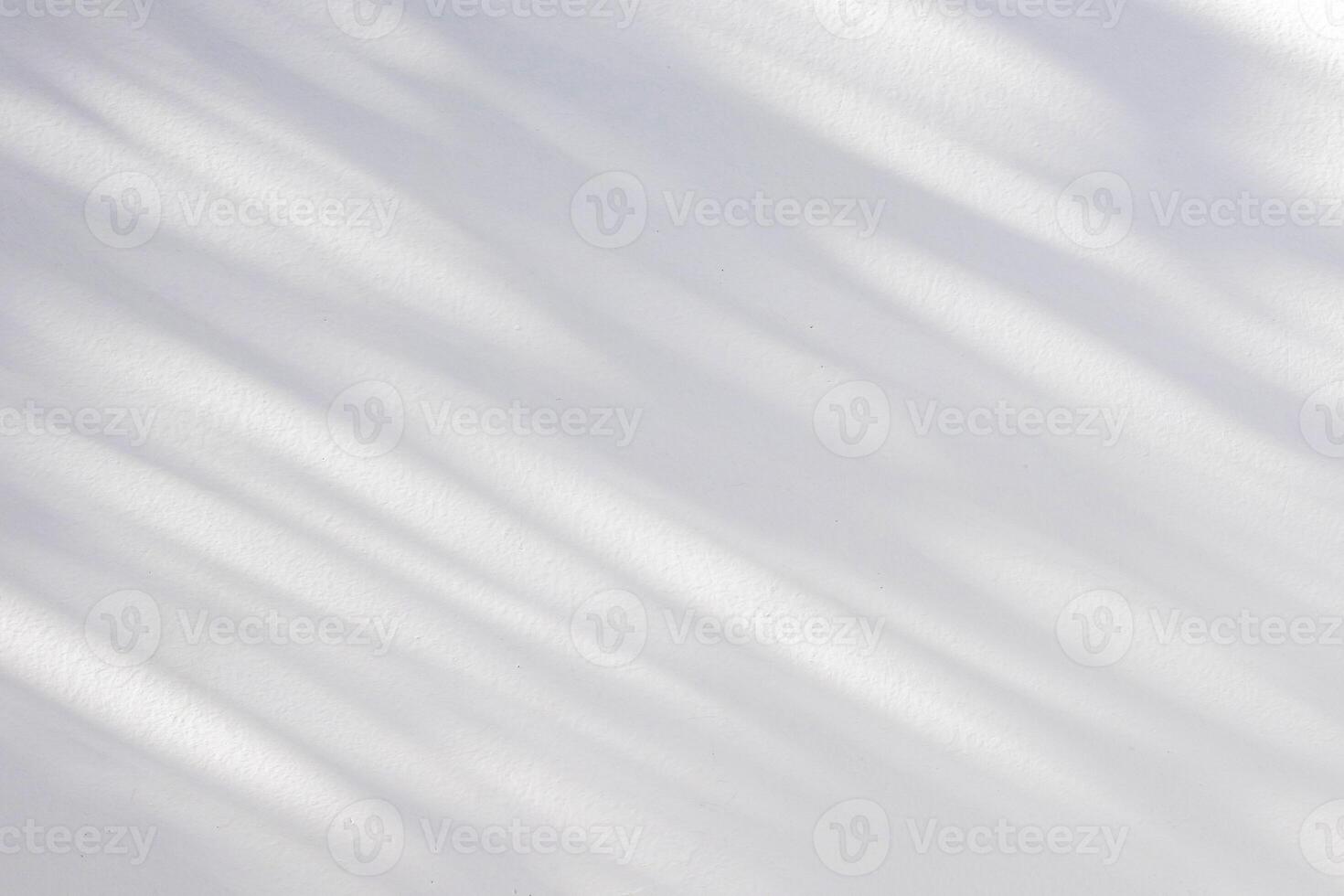 Abstract natural tree leaves shadow on white wall background photo
