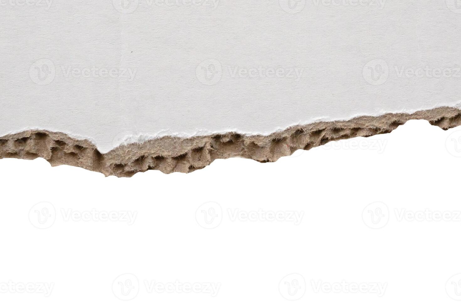 White ripped paper torn edges strips isolated on white background photo