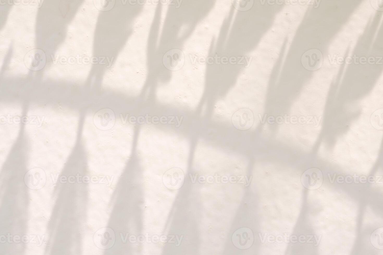 Abstract natural tree leaves shadow on white wall background photo