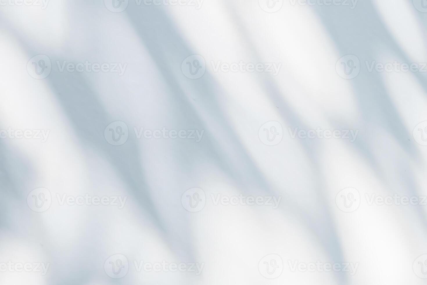 Abstract natural tree leaves shadow on white wall background photo