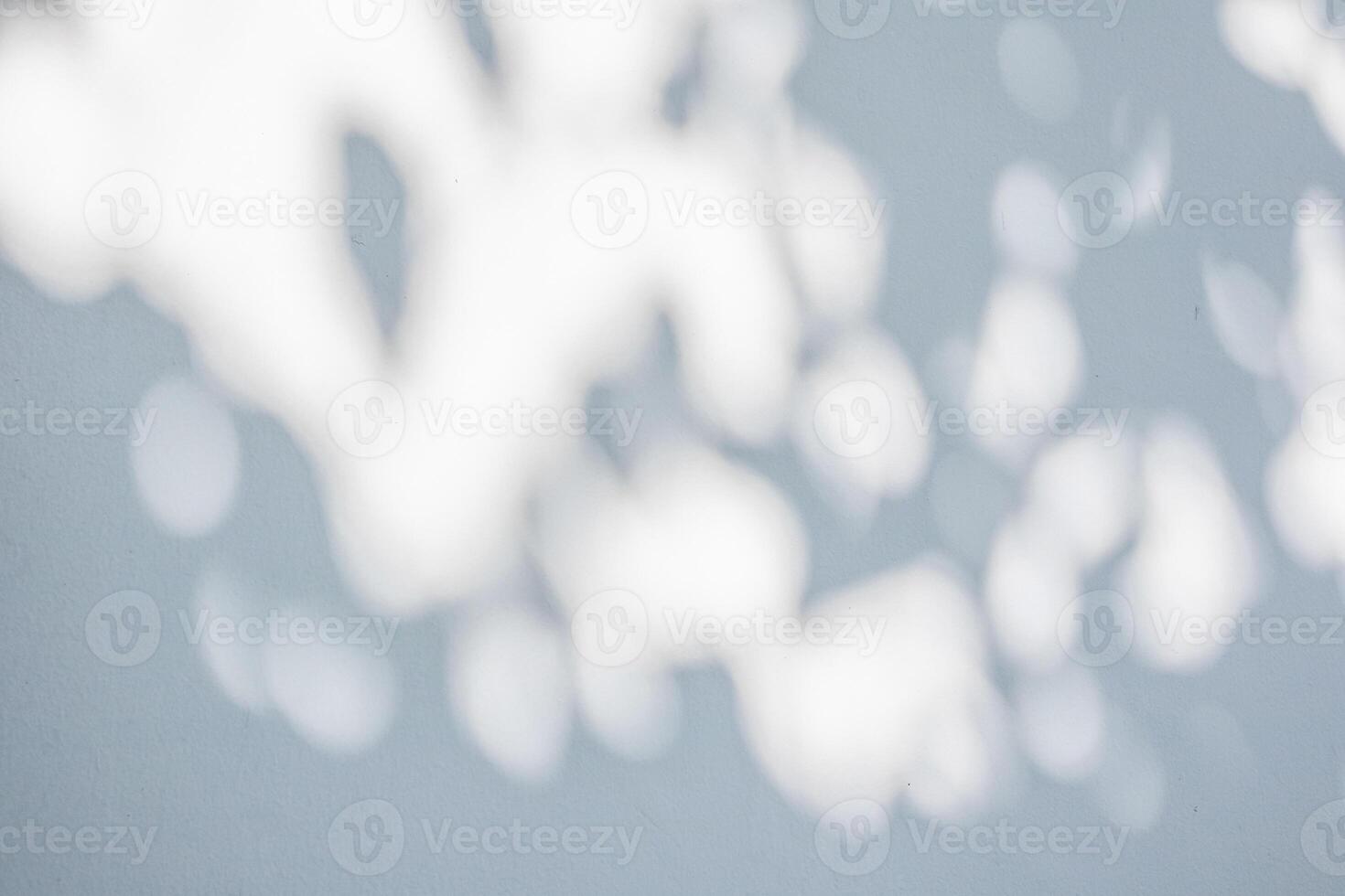 Abstract natural tree leaves shadow on white wall background photo