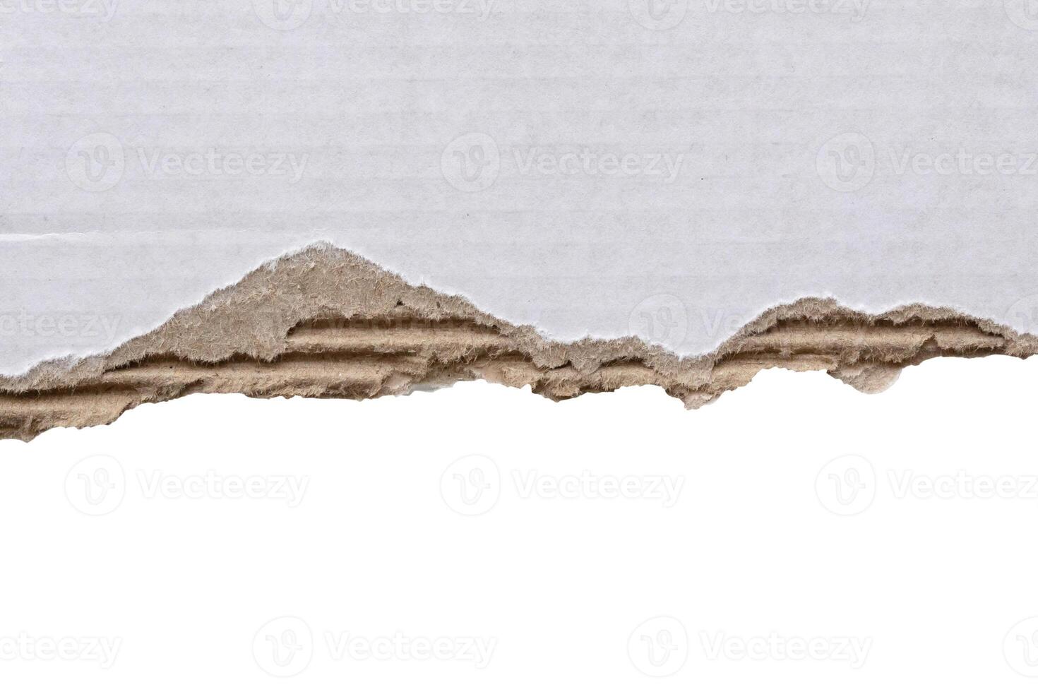 White ripped paper torn edges strips isolated on white background photo
