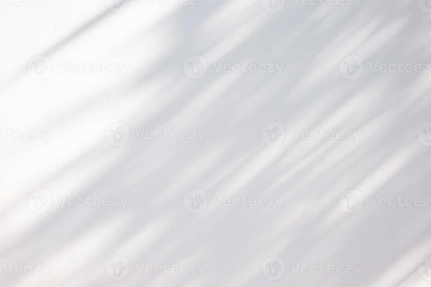 Abstract natural tree leaves shadow on white wall background photo