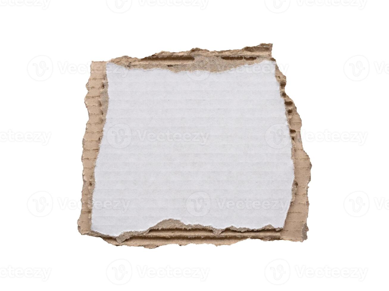 piece of white paper tear isolated on white background photo