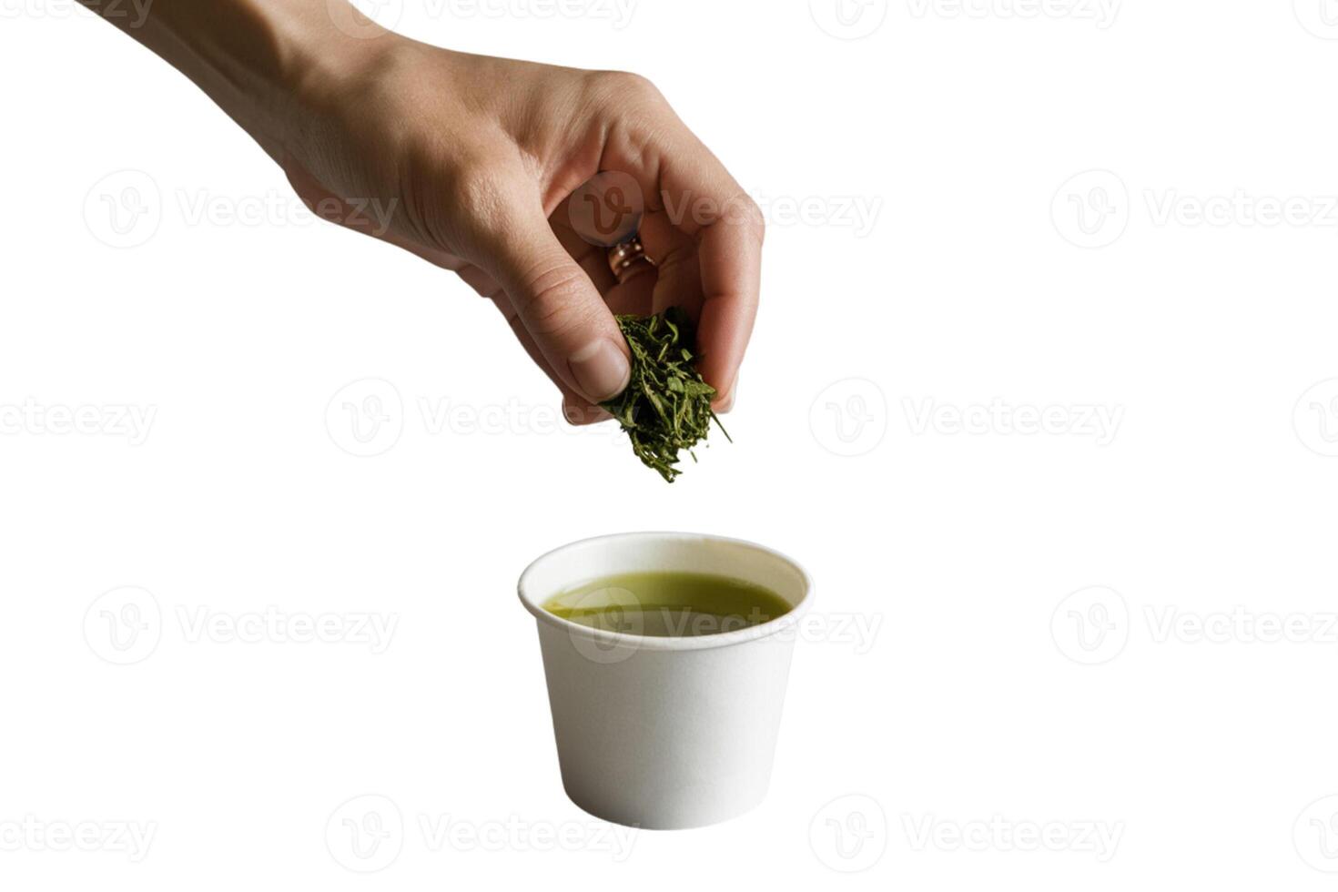Crop person with cup of tea photo