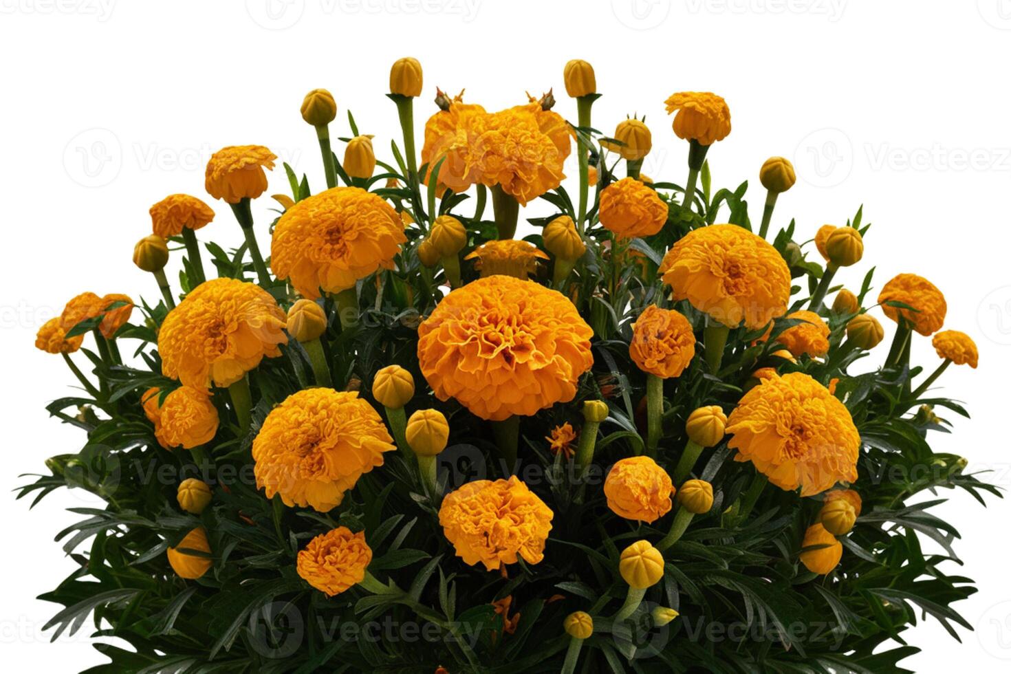 Bunch of bright flowers photo