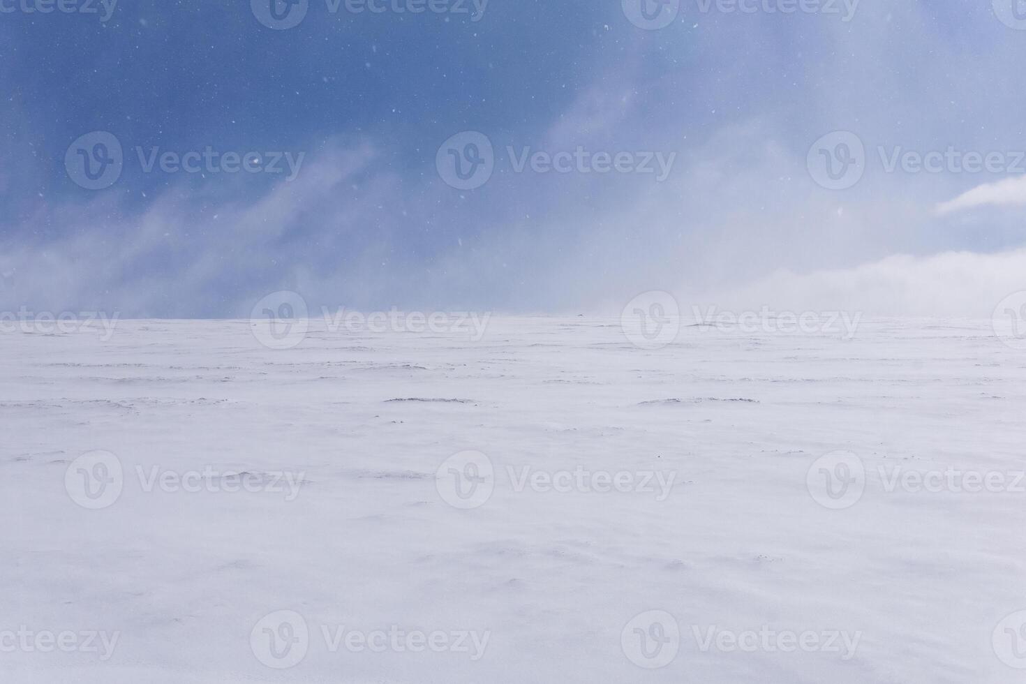 cold snow desert, lifeless snowy landscape with blizzard photo