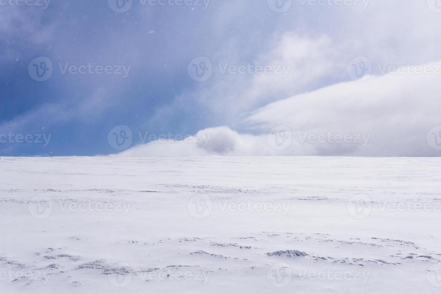 frozen snow desert, lifeless snowy landscape with blizzard photo