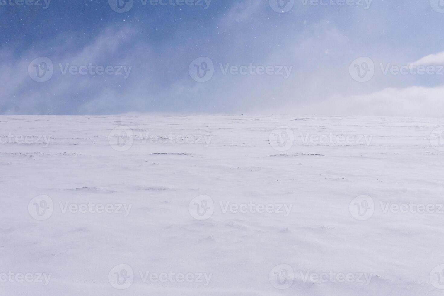 snow desert, lifeless snowy landscape with blizzard photo