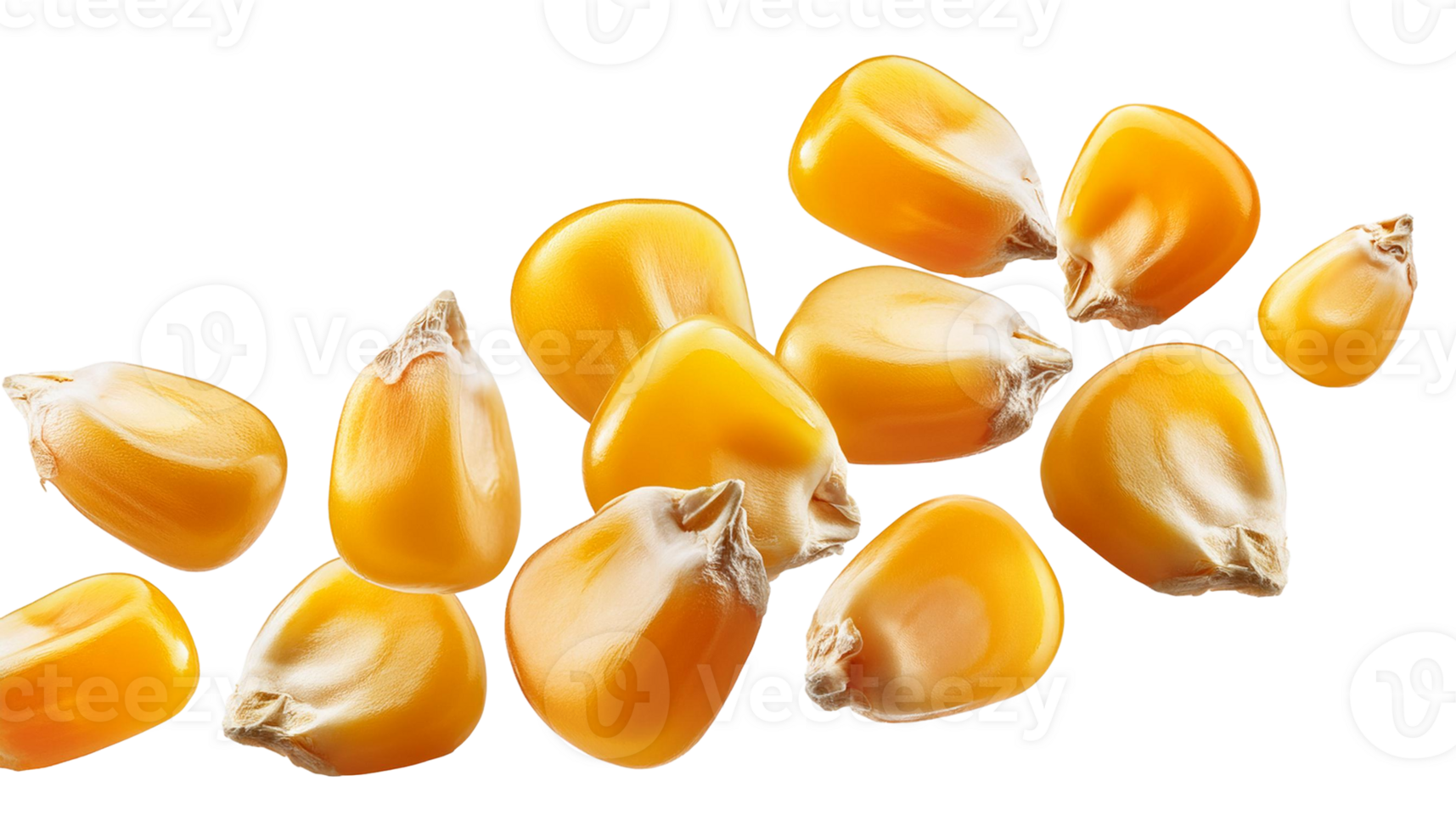 Dried corn kernels png