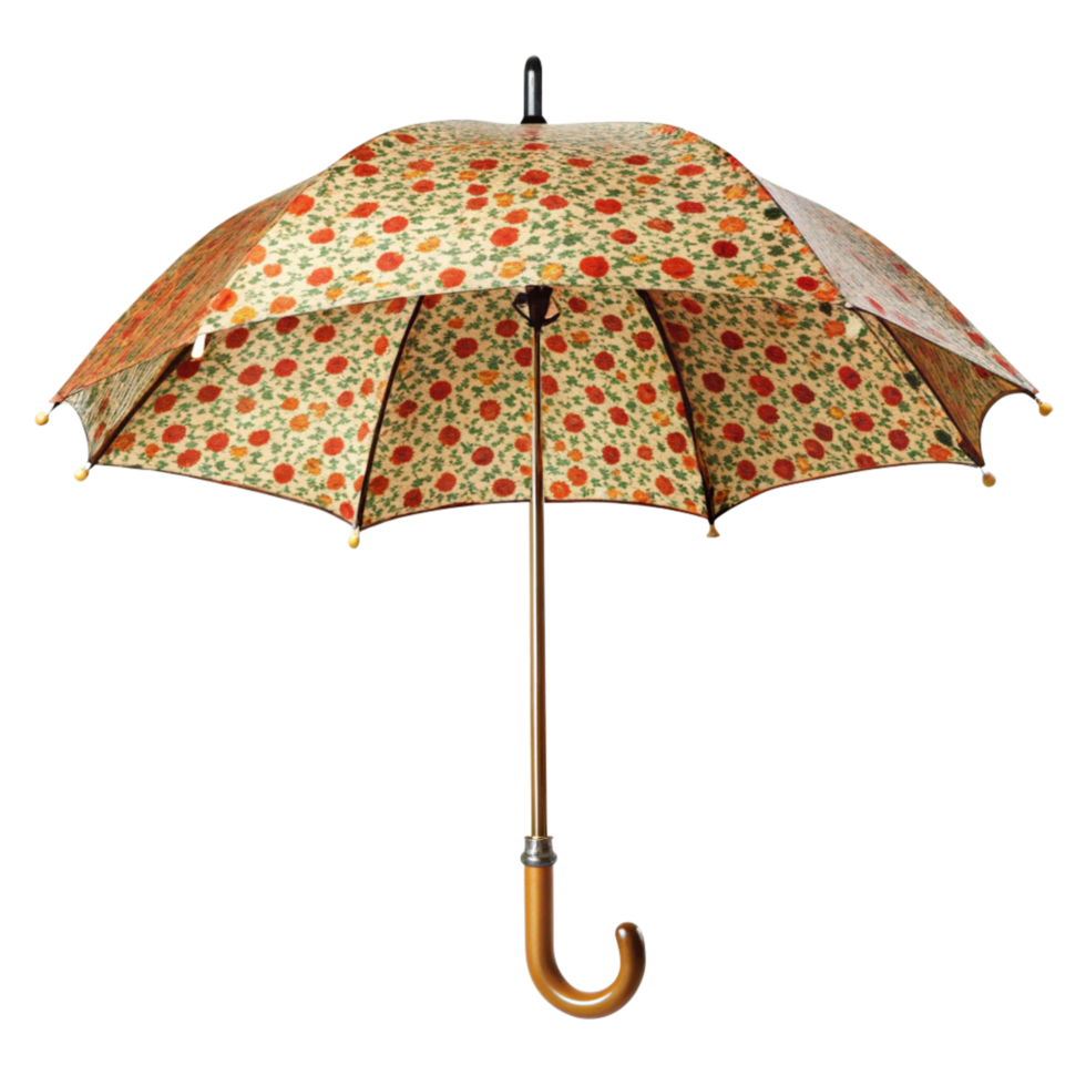 Printed Umbrella isolated on transparent background png