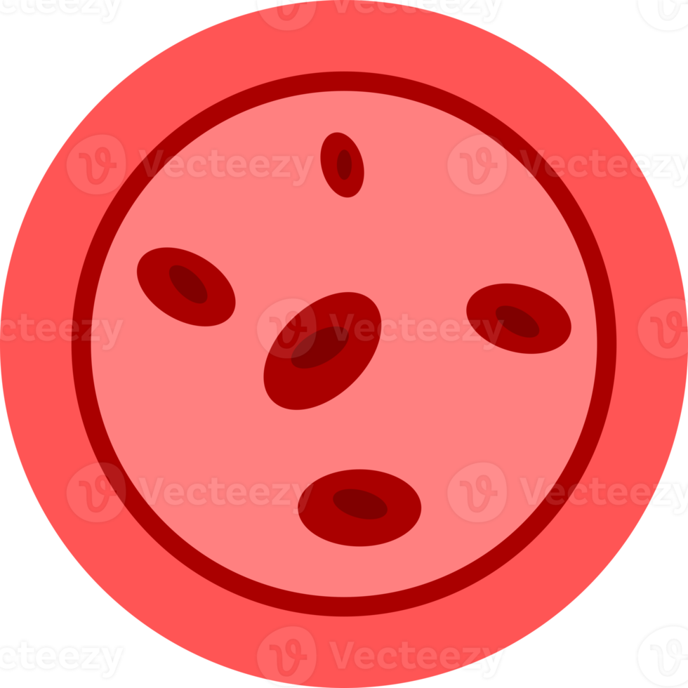 Cholesterol in vessels blood clogged arteries medical icon png