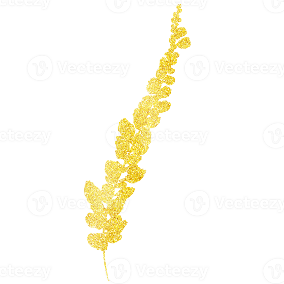 A Long Shimmery Gold Plant with Leaves on a Transparent Background png