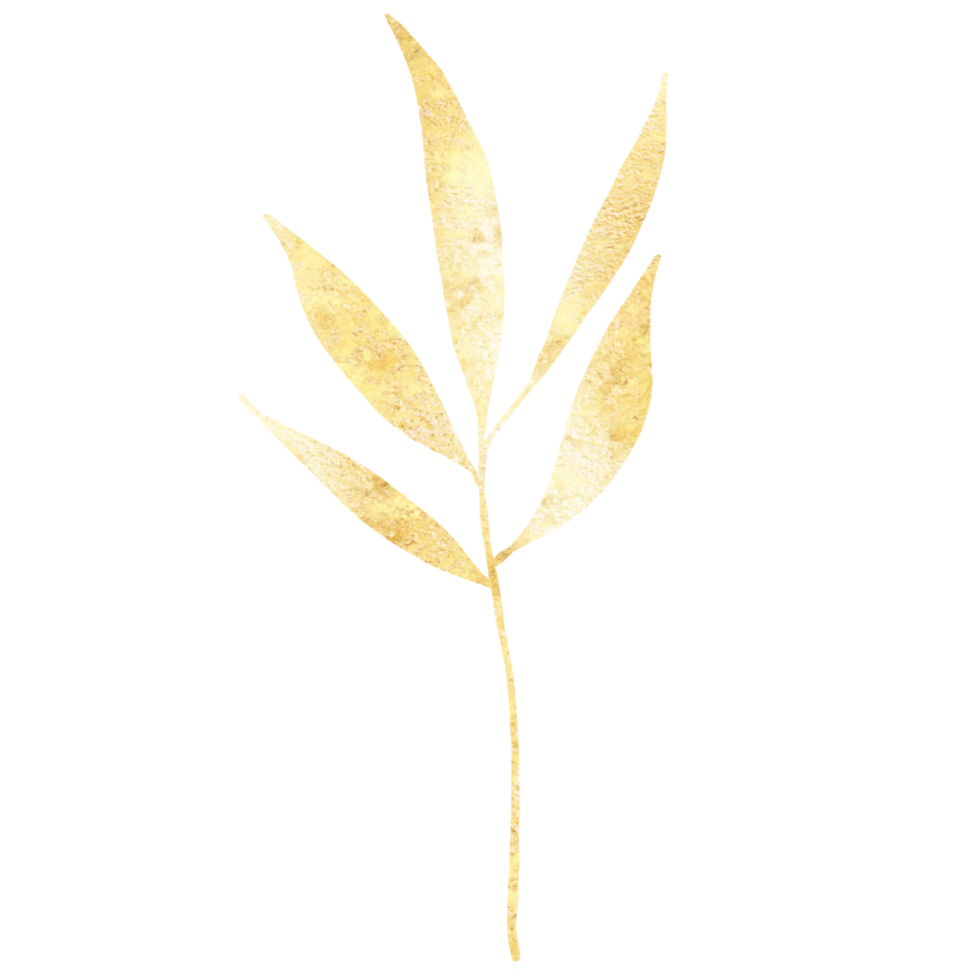 A shiny golden leaf on a transparent background png