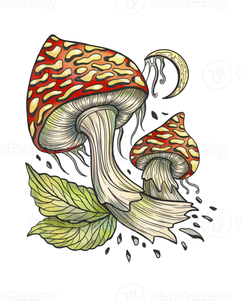 Red celestial mystic mushrooms with magic and floral decorative design elements, witchcraft symbols. Esoteric and witchy objects, tattoo concept png