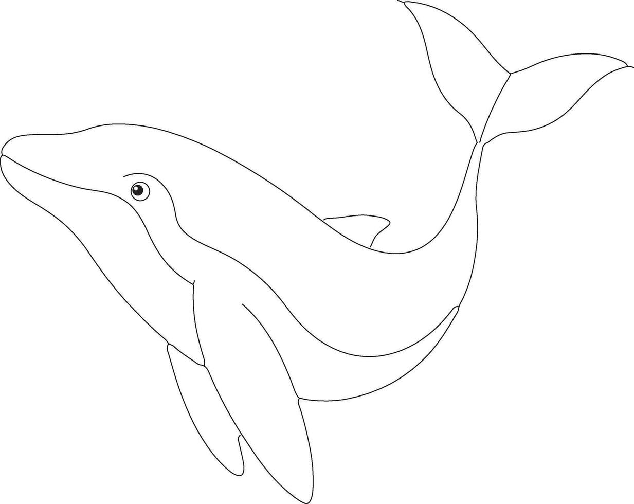 An outline illustration of a whale, swimming gracefully with a gentle curve, drawn with smooth, sweeping lines on a white background. vector