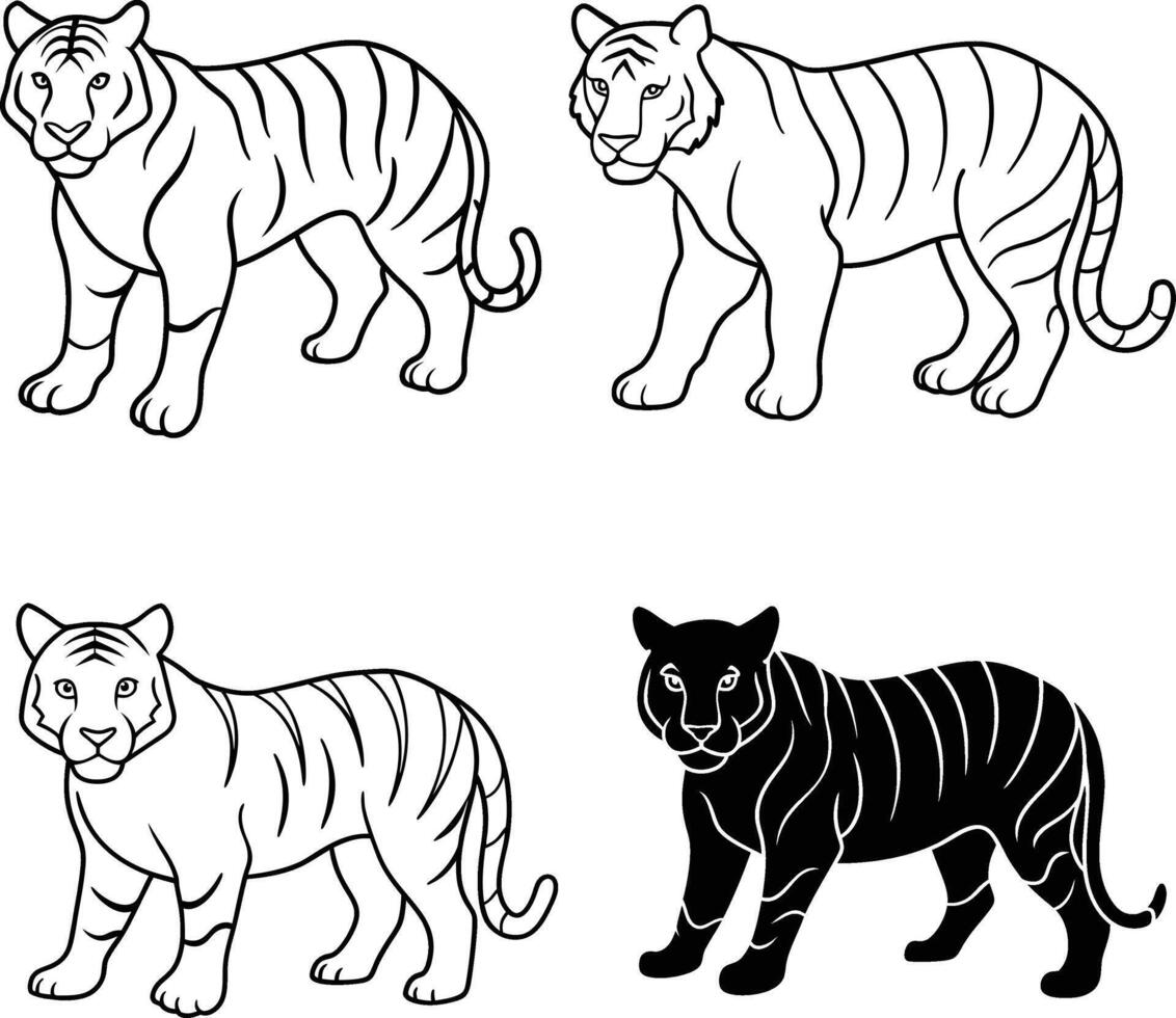 A package of Tiger outline or line art or sketch illustration prowling forward with an intense gaze depicted with simple lines on a white background vector